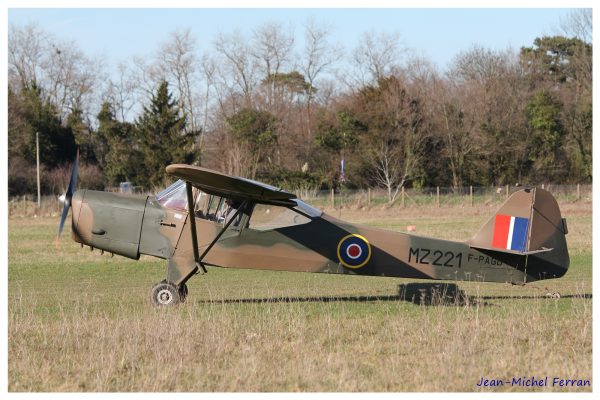 auster-1_gf