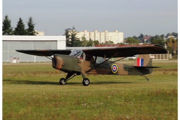 auster-5_gf